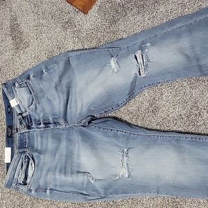 Judy Blue Jeans. Flare. High Rise. Women's plus size 20w NWT.